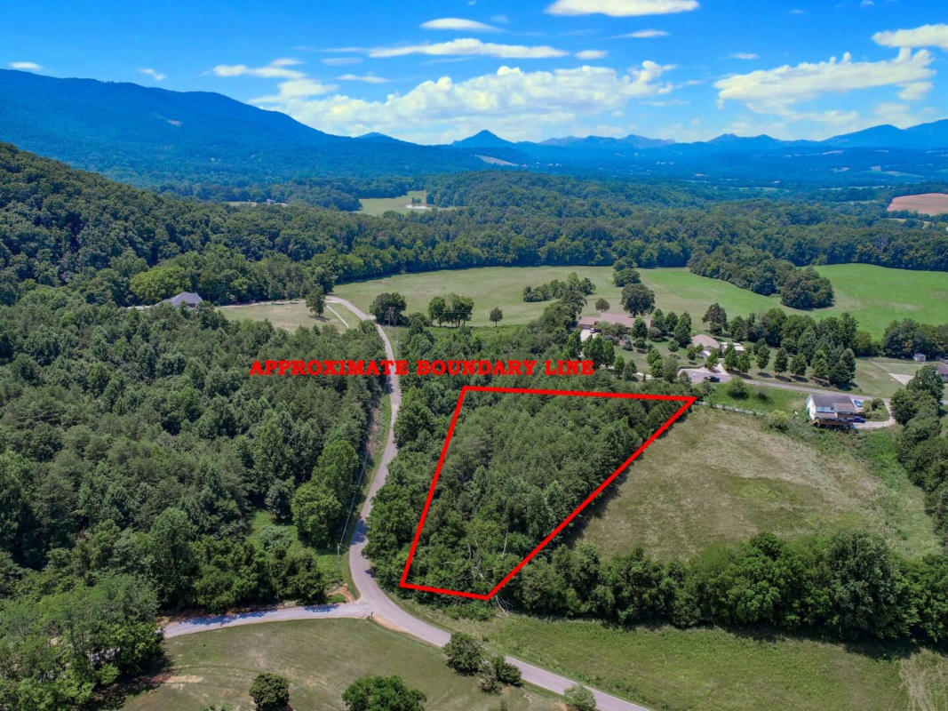 LOT 12 DAWNING RD, NEWPORT, TN 37821, photo 1 of 28