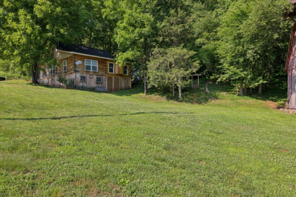 557 HIGH COUNTRY RD, COSBY, TN 37722, photo 4 of 38