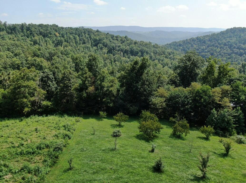 5 ACRES RAVEN HILL ROAD, TAZEWELL, TN 37879, photo 1 of 23