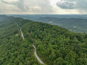 415 CHIMNEY ROCK RD, NEW TAZEWELL, TN 37825, photo 2 of 2