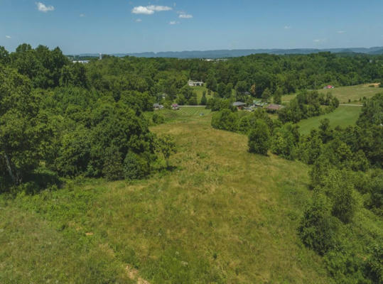 9.81 ACRES E SUGAR HOLLOW ROAD, RUSSELLVILLE, TN 37860 - Image 1