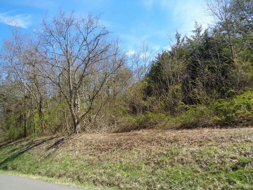 5375 FRED MARSHALL RD LOT 2, RUSSELLVILLE, TN 37860, photo 1 of 10