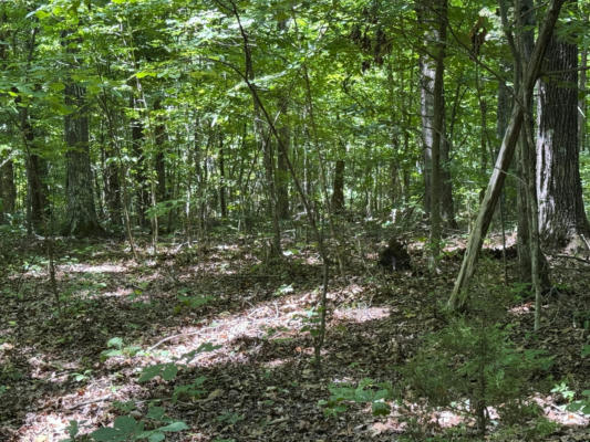 6.8 ACRES FRIENDSHIP SOUTH ROAD, AFTON, TN 37616 - Image 1