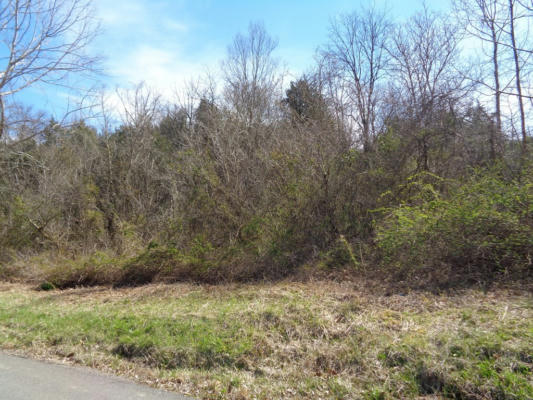 5375 FRED MARSHALL RD LOT 1, RUSSELLVILLE, TN 37860, photo 3 of 12