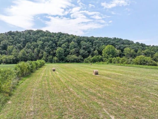 1 ROARING FORK RD, GREENEVILLE, TN 37745 - Image 1