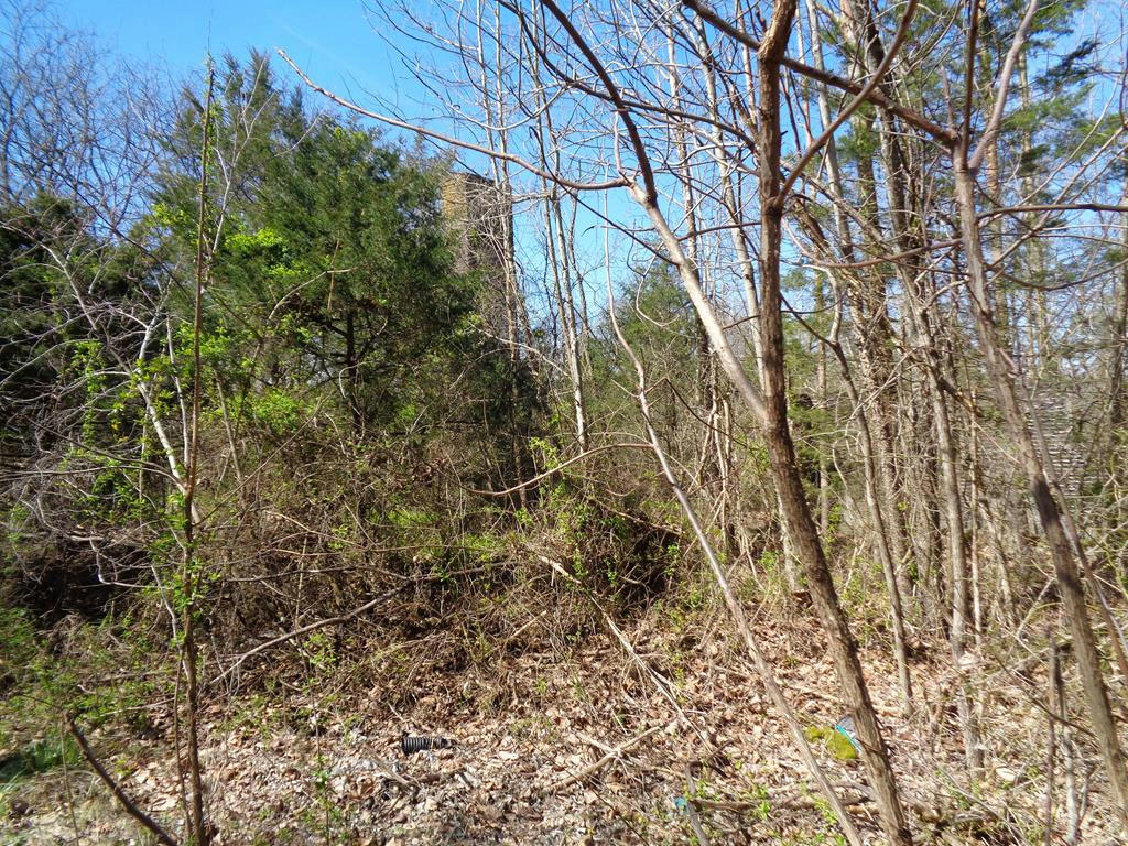 5375 FRED MARSHALL RD LOT 1, RUSSELLVILLE, TN 37860, photo 1 of 12