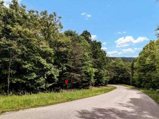 141 WHISTLE VALLEY RD, NEW TAZEWELL, TN 37825 - Image 1