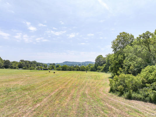 3 ROARING FORK RD, GREENEVILLE, TN 37745 - Image 1